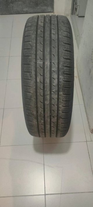 Rueda Goodyear Efficient Grip 225/55R19