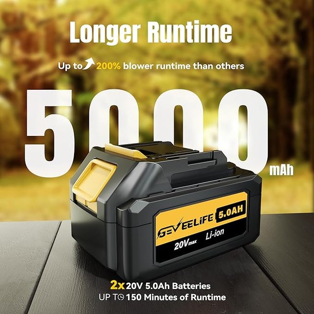 Soffiatore Elettrico GEVEELIFE 650CFM
