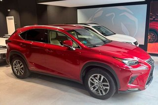 Lexus NX   2.5 300h Executive 4WD