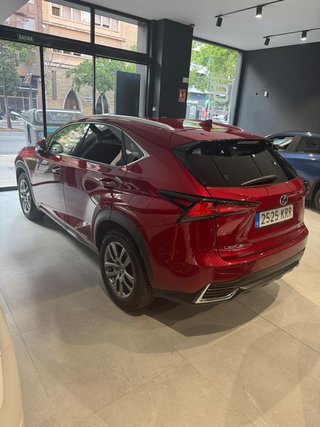 Lexus NX   2.5 300h Executive 4WD