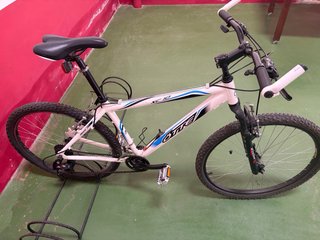 Bicicleta de paseo