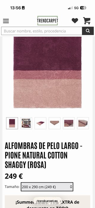 Alfombra Trendcarpect 200x300 cm