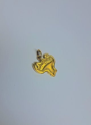 Colgante Venezuela 18K