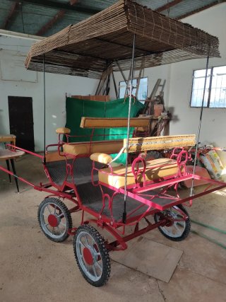 Coche de caballos ligero