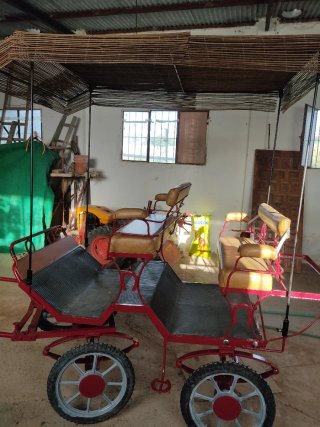 Coche de caballos ligero