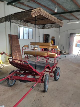 Coche de caballos ligero