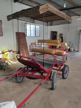 Coche de caballos ligero