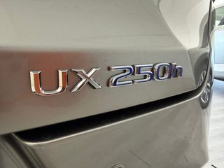 Lexus UX 250H BUSSINESS  2WD