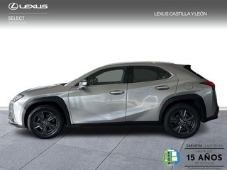Lexus UX 250H BUSSINESS  2WD