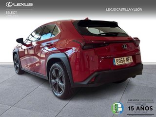 Lexus UX 300H +