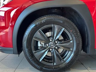Lexus UX 300H +