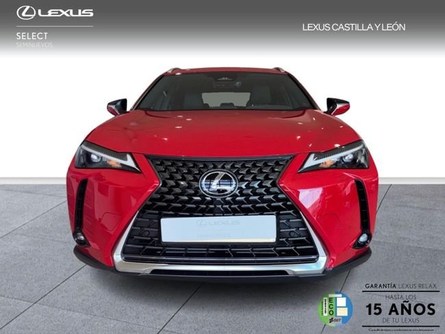 Lexus UX 2025, foto 2