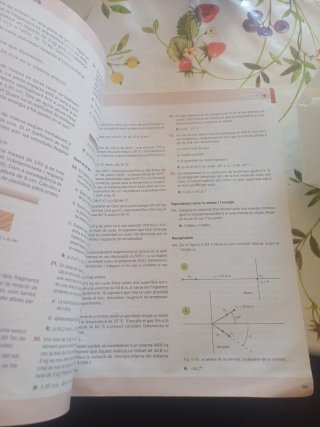 Física 1r Batxillerat McGrawHill