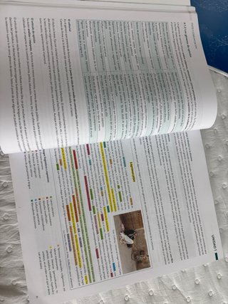 Lengua Castellana y Literatura, 2 Bach, Proyect...