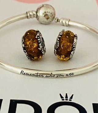 Pulsera y charms Rey Leon