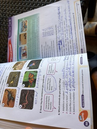 Open Up 5 Exam Edition Activity Book (Spain)