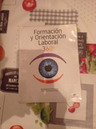 Formación y orientación laboral 360°