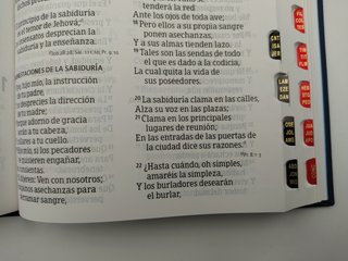 Rvr 1960 Biblia Letra Grande Tamaño Manual Bord...