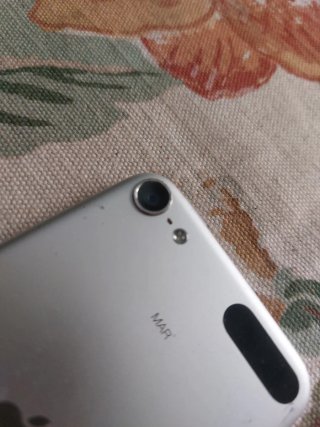 iPod Touch 7ª Gen Plata