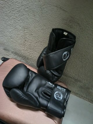Guantes de Boxeo Shark Black Edition