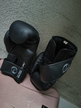 Guantes de Boxeo Shark Black Edition