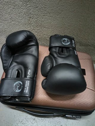 Guantes de Boxeo Shark Black Edition