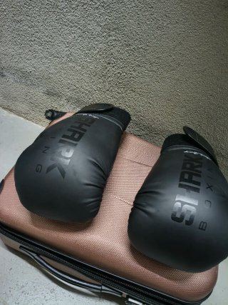 Guantes de Boxeo Shark Black Edition