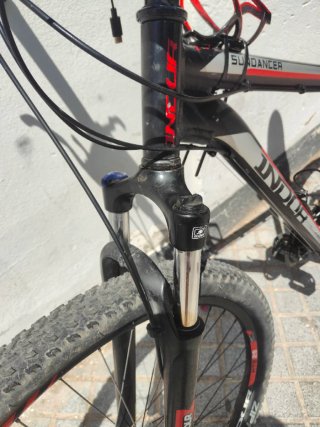 Bicicleta Indur Sundancer MTB 29