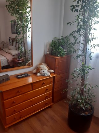 Muebles de madera de pino
