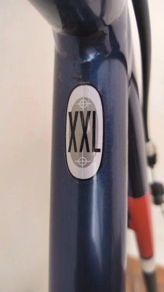 Bicicleta Scott Speedster XXL