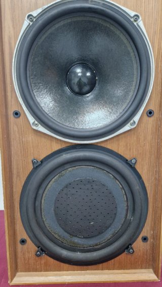 Altavoz Celestion Ditton 25