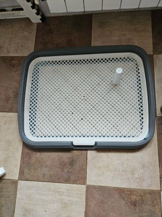 Orinal para perros