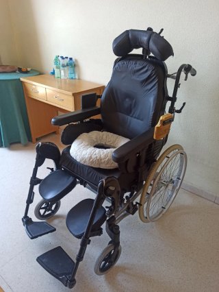 Silla ruedas ergonómica negra . Regalo cojín