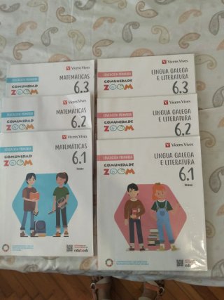 Matemáticas 6, Lingua Galega 6.