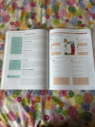 Lengua castellana y literatura 1, Le Bachillerato