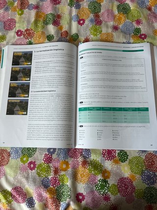 Lengua castellana y literatura 1, Le Bachillerato