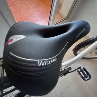 Bicicleta paseo holandesa City 40 26" 5v