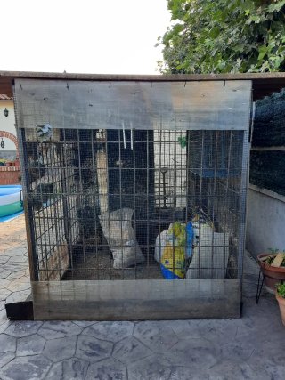 Jaula para pájaros grande