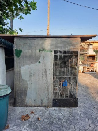 Jaula para pájaros grande