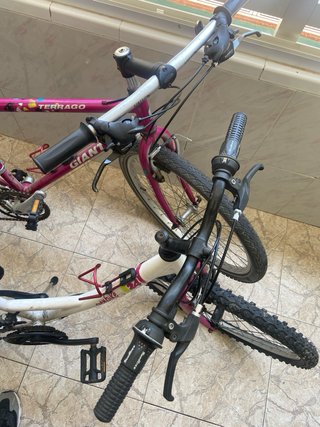 Bicicletas montaña (2 unidades)