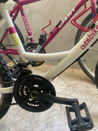 Bicicletas montaña (2 unidades)