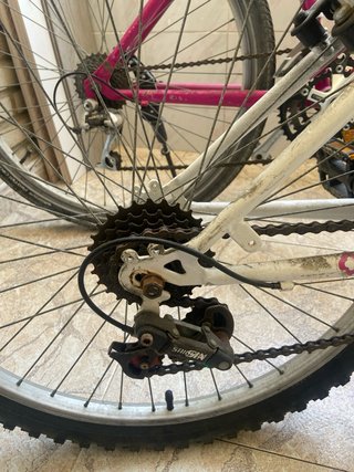 Bicicletas montaña (2 unidades)