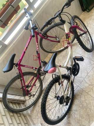 Bicicletas montaña (2 unidades)
