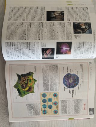 Diccionario enciclopédico universal
