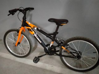 Bicicleta infantil 20 (5-8 años)