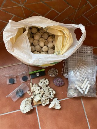 Lote Accesorios Acuario Marino