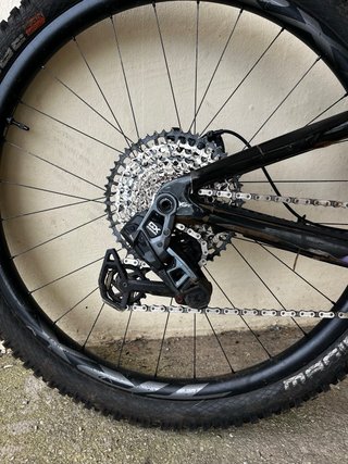 Giant Reign 1 advanced Talla L.