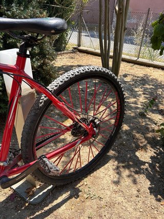 Bicicletta rossa da uomo
