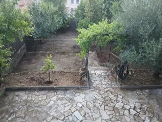 Hacemos la limpieza para jardineros de poda tambié
