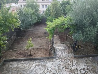 Hacemos la limpieza para jardineros de poda tambié